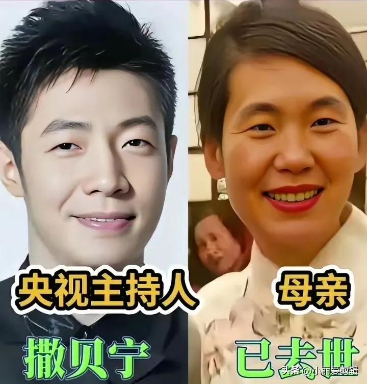母爱支撑前行太伟大。
撒贝宁妈妈明艳气质佳,一看就特别善良
张泽群妈妈明艳气质佳