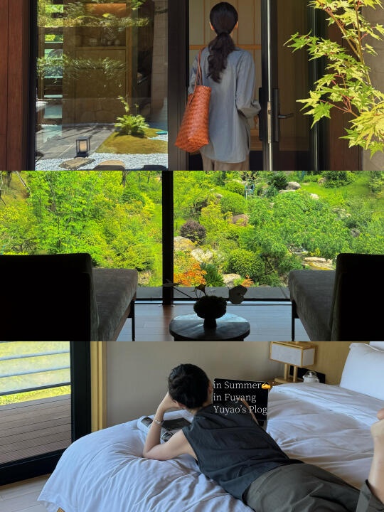 盛夏，树下的日子，是透着光的🌳