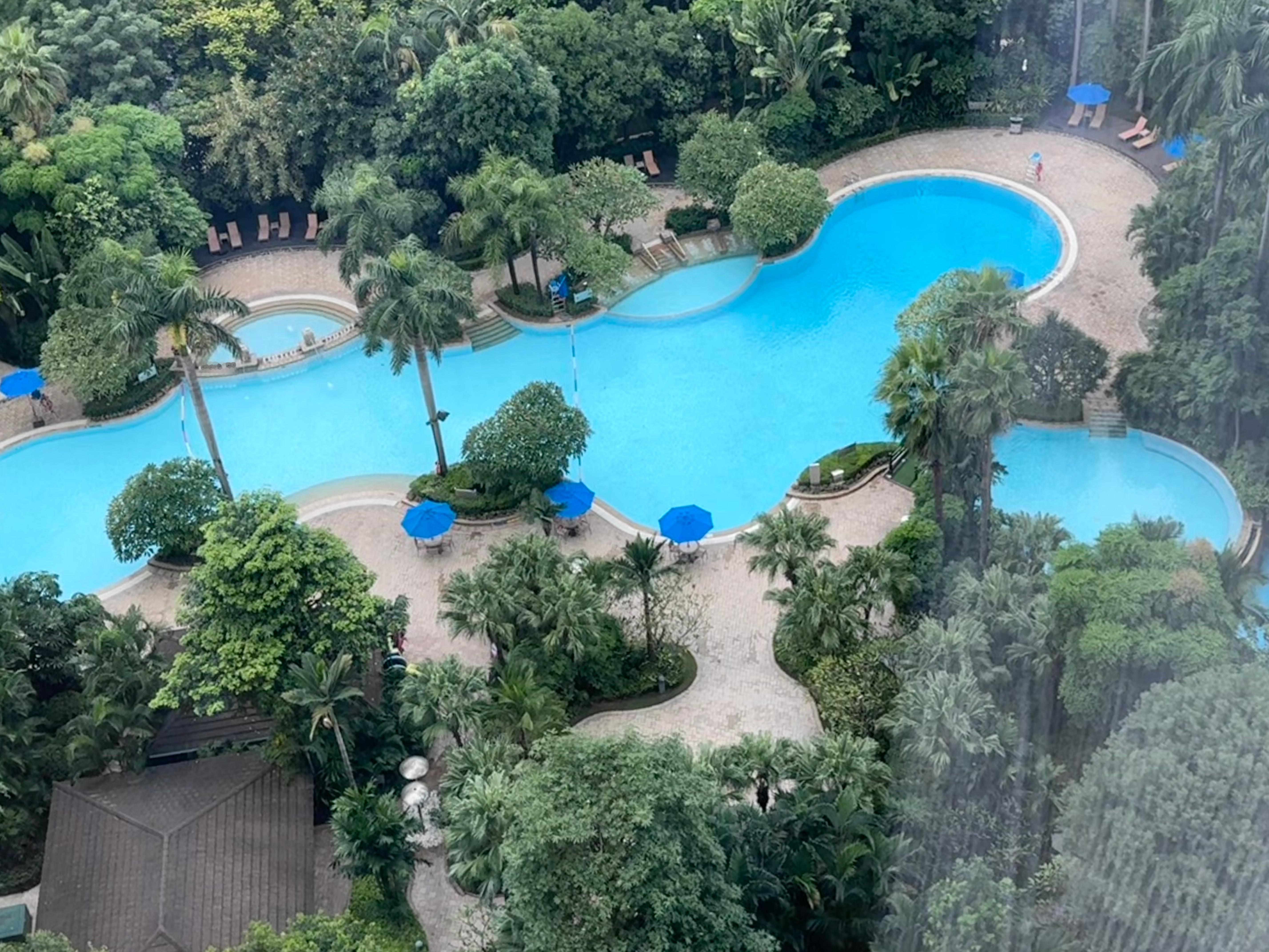 朋友劝我将来与其定居东京，还不如搬来广州。我确实很喜欢广州的一切，除了气候和会飞