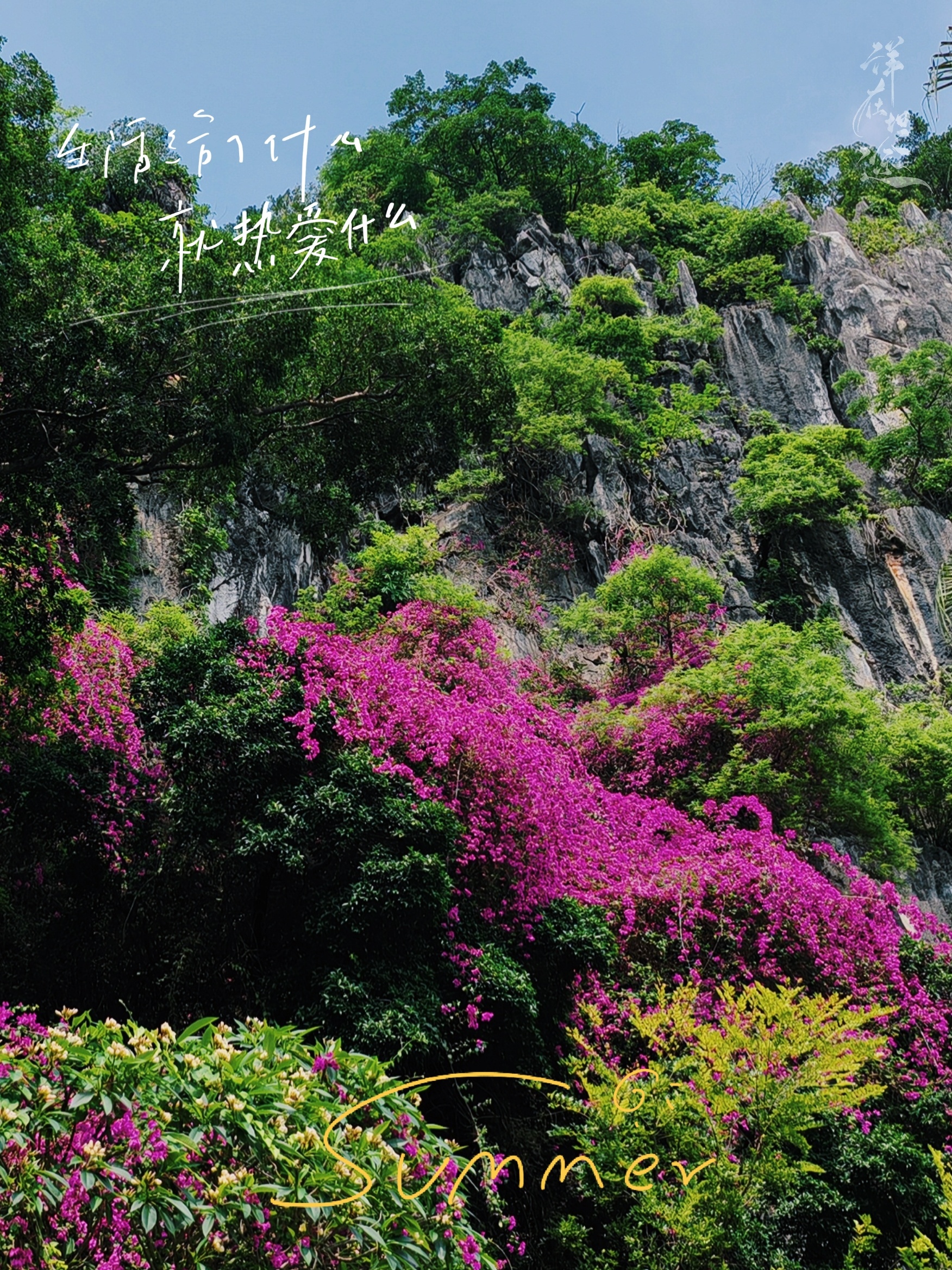 花会零落，但会重开，热爱生活的人总会觅到光！ 