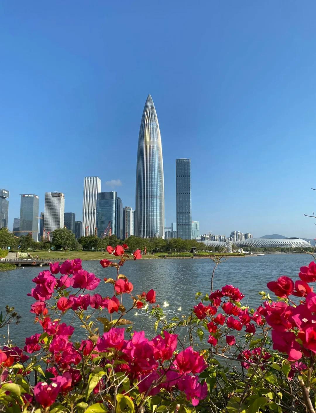 上海适合旅游，深圳适合工作。上海人，南下广东谋生的时代，即将到来。
2025年底