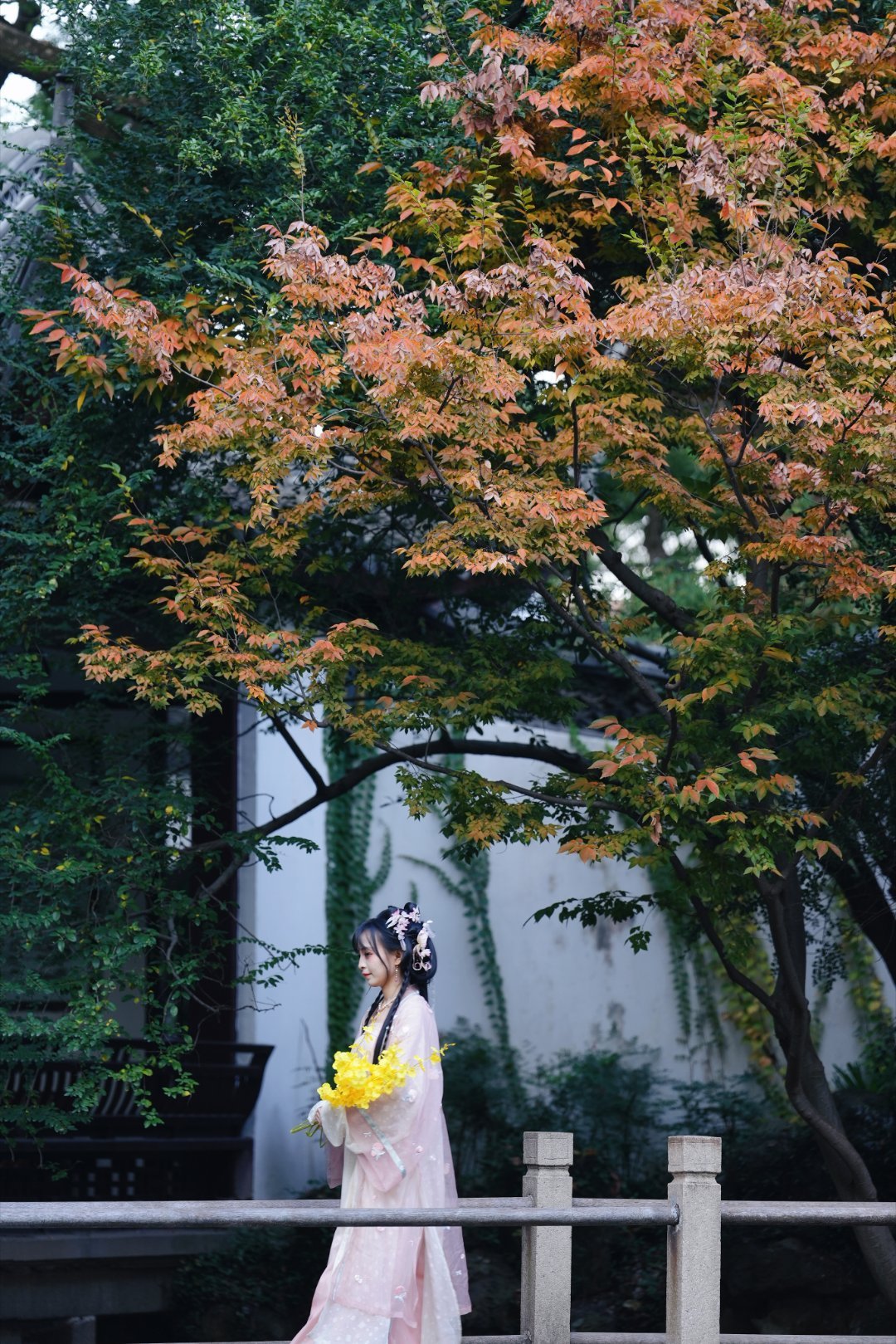 江南秋韵天花板！惠山古镇打卡机位+避人群技巧，附薅羊毛攻略家人们！刚从惠山古镇赏