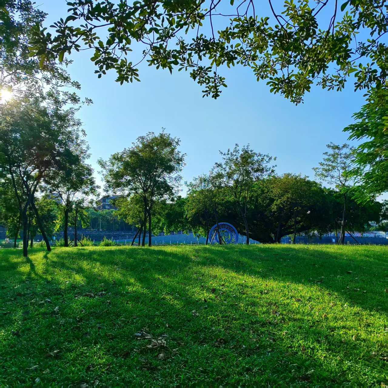 一副浅白对联，道出育人真谛。
 
□ 周兴华

上联:大树参天，咸沐阳光雨露；