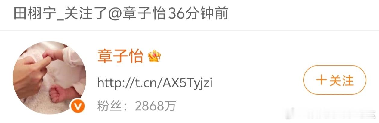 章子怡田栩宁 合作网传国际影后章子怡和田栩宁或将合作，此番主要围绕田栩宁将会进组