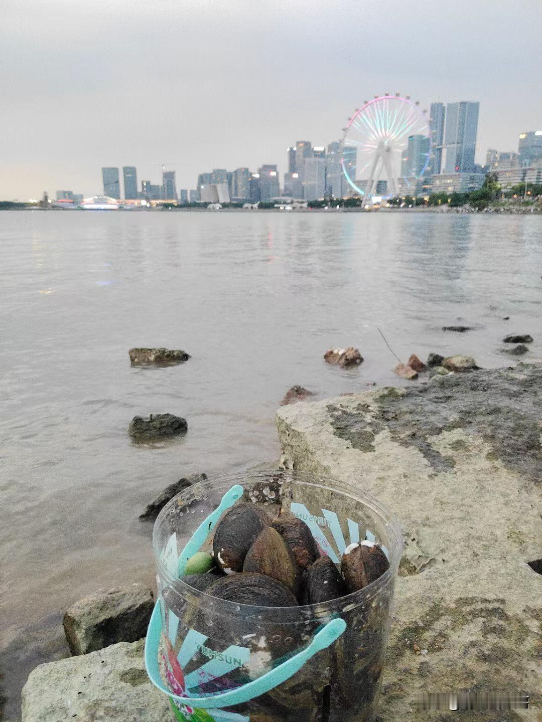 退朝后赶海的收获