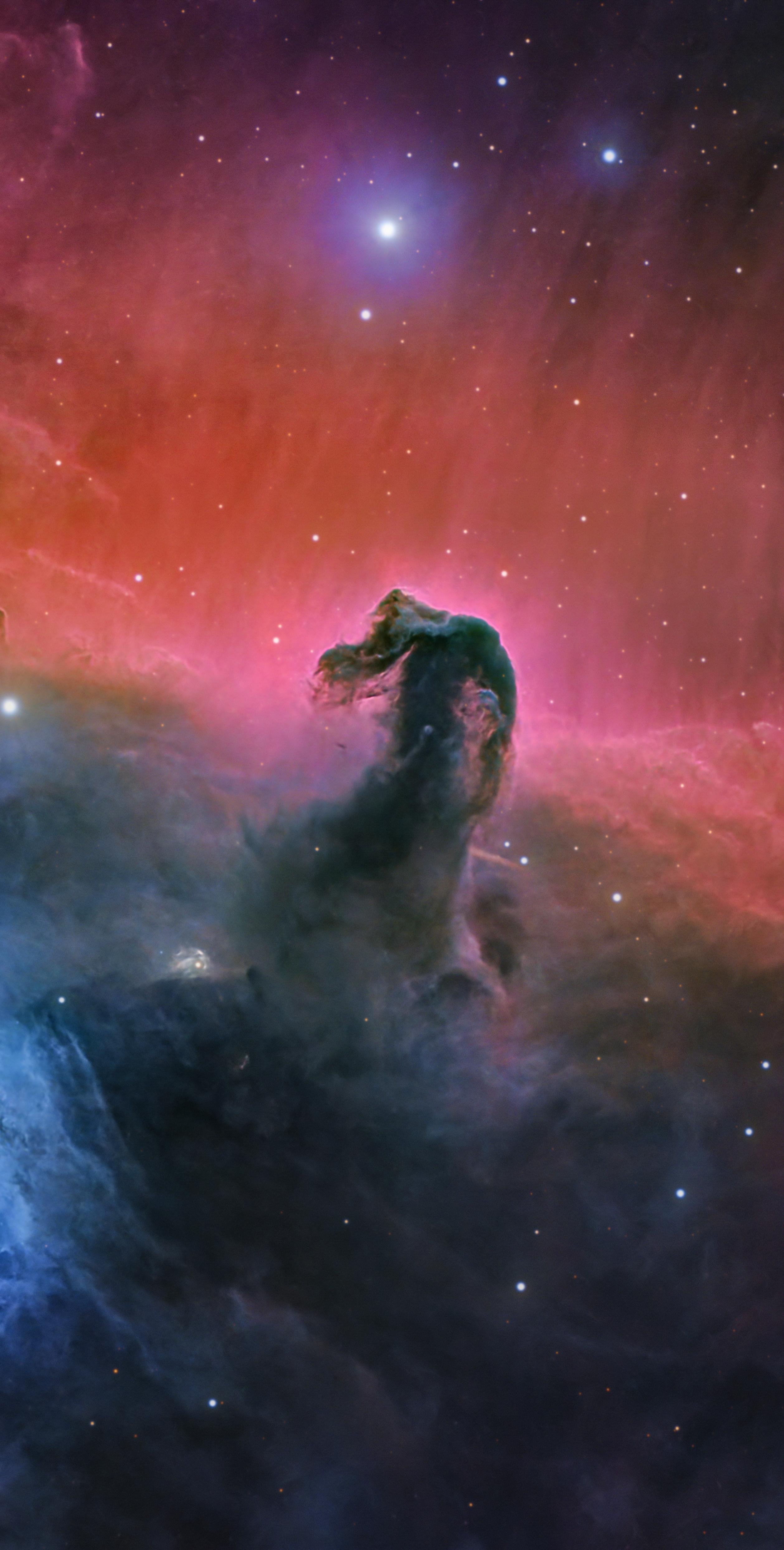 马头星云（也称巴纳德33、IC 434）。是一个暗星云，由于形状从地球...