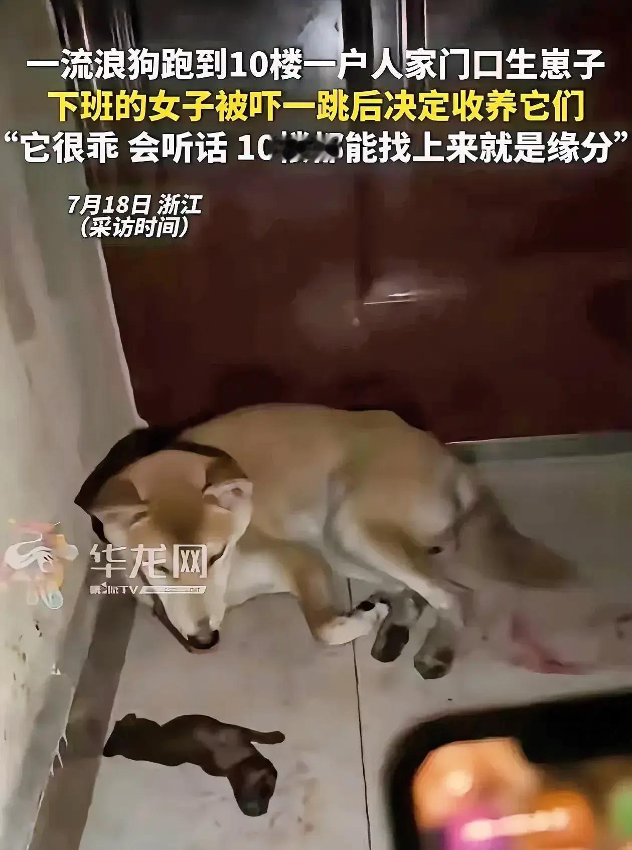 浙江，家住十楼的女子下班回家，刚到门口就闻到一股腥味，她赶紧打开手电看，结果发现