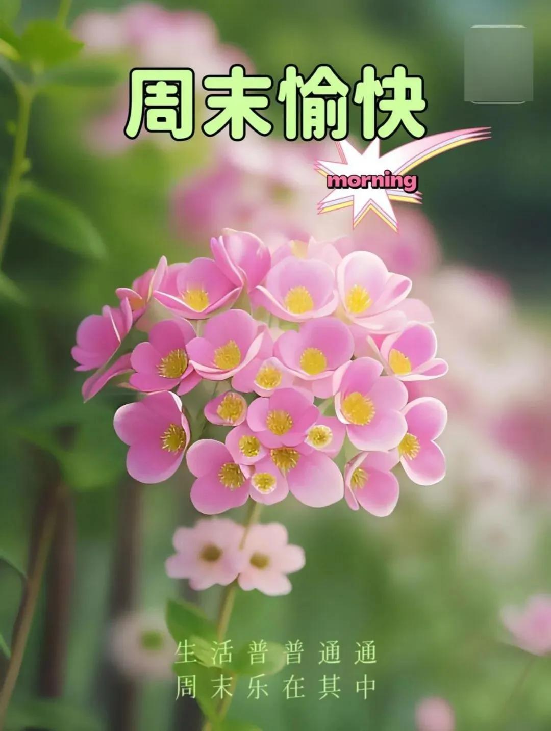 生活普普通通
周末乐在其中
周末就像是平凡日子的一道光
照亮了平淡生活里的每一个