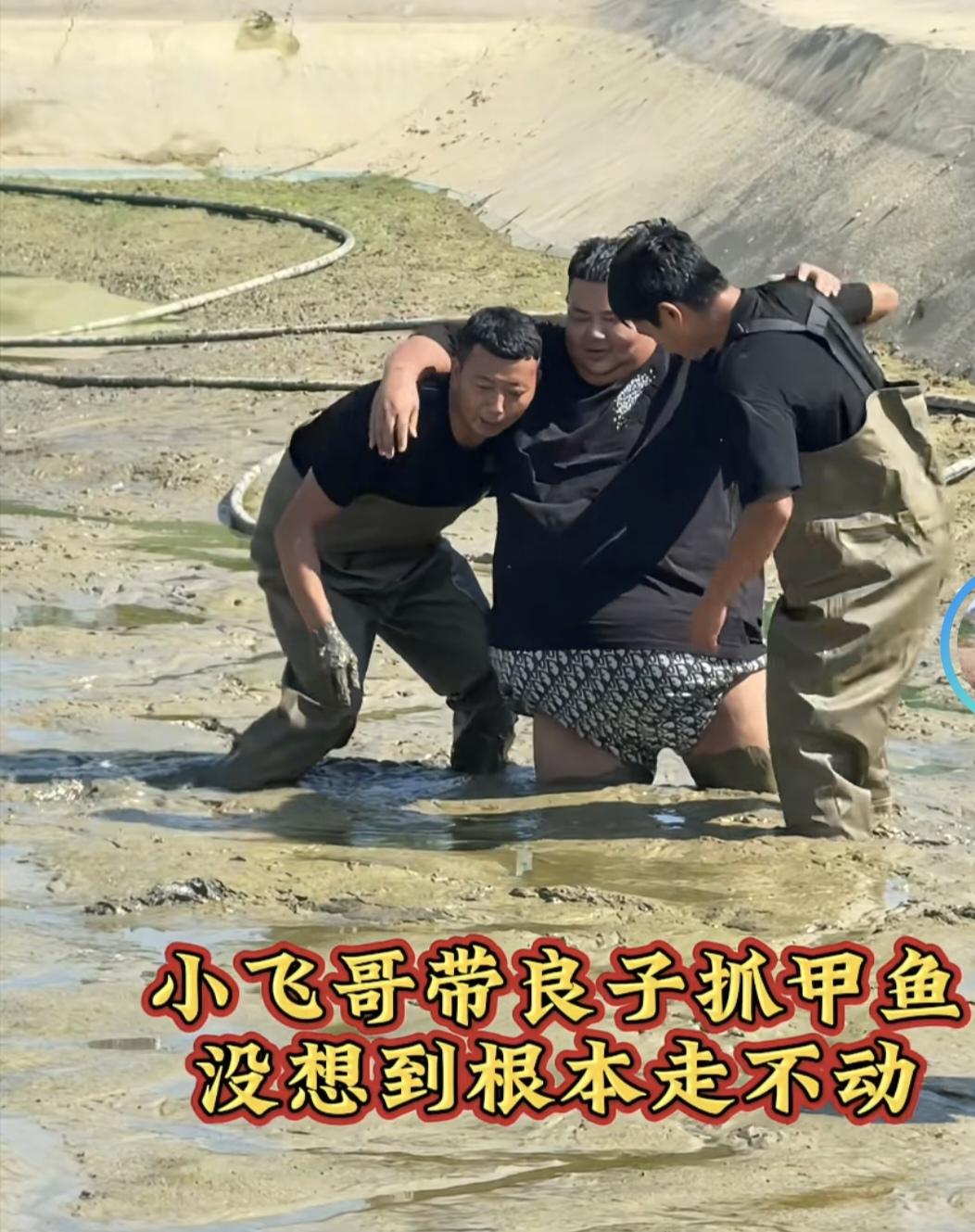 带大胃袋良子抓鱼，良子陷淤泥里面了。良子流量大那是吃板面、吃焖子，让他抓鱼不是搞