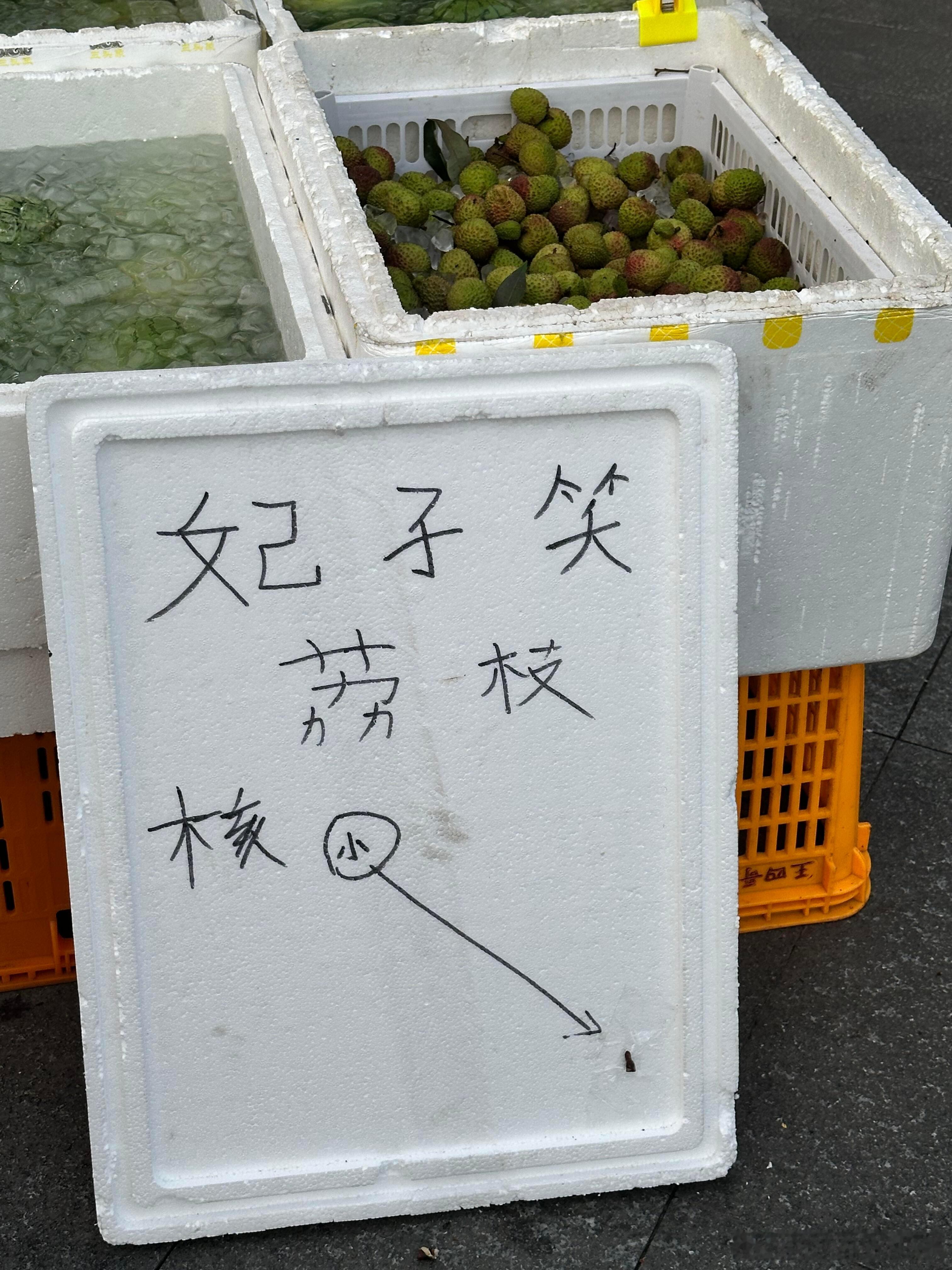 设计天才 