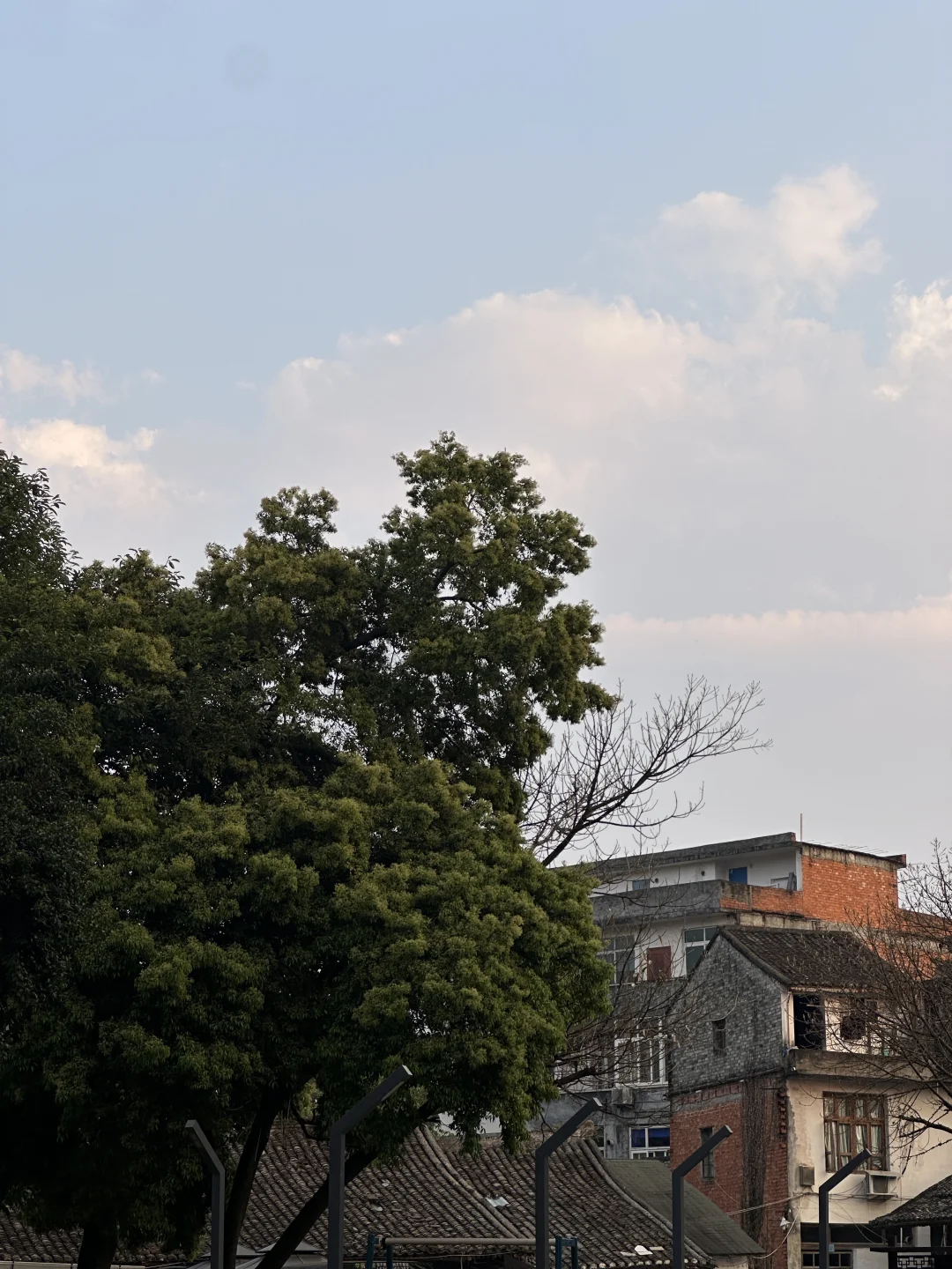 喜欢哞哞哞地生活