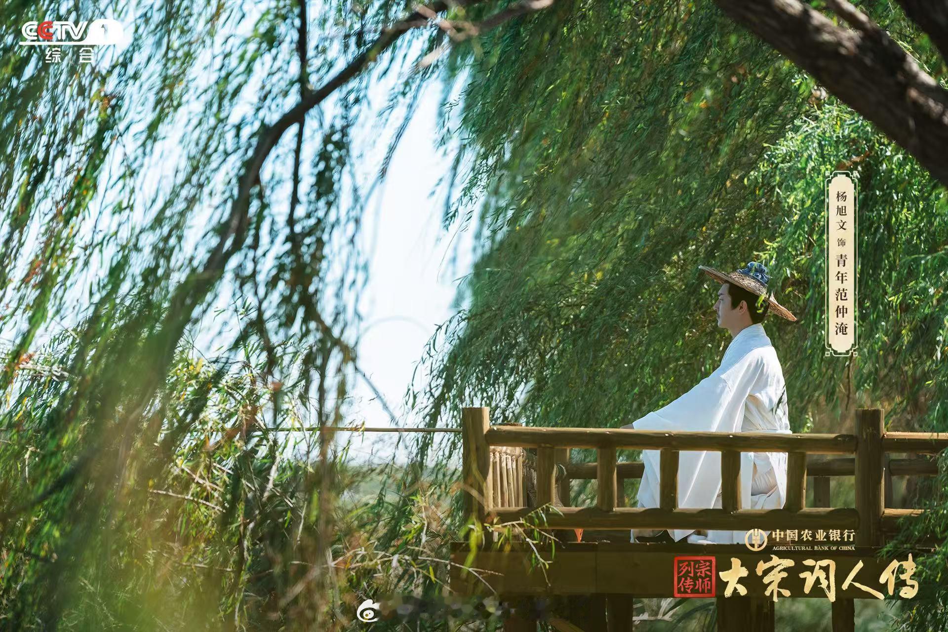 为杨旭文的范仲淹泪目了挺喜欢杨旭文的戏，他的古装就给我一种很正气的感觉，形象气质
