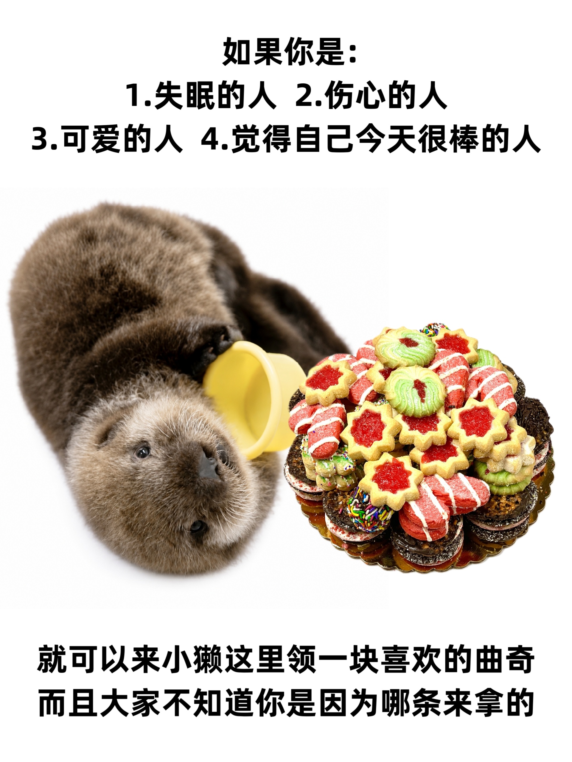 给路过的友友塞一块曲奇🍪 ˶⁃ ⩊ ⁃˶meme海獭