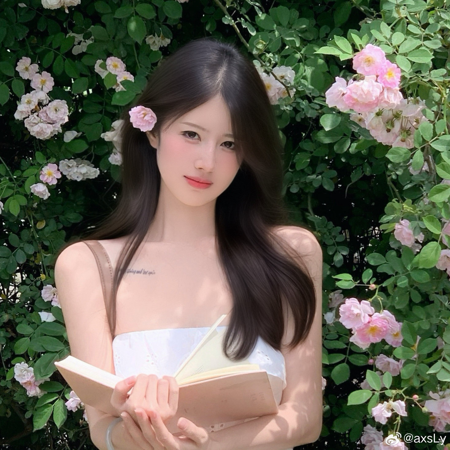 🍃门外的蔷薇 
