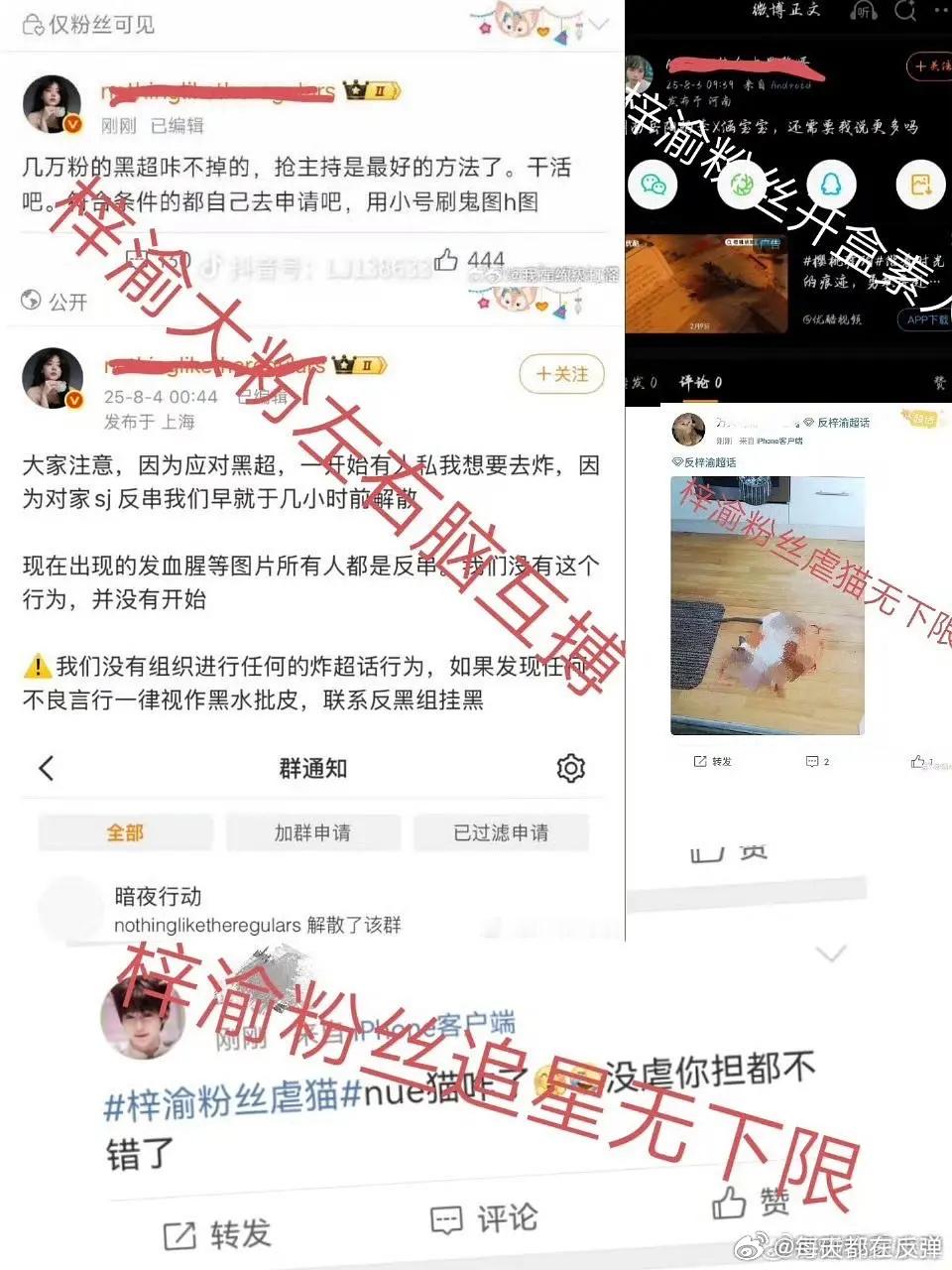 梓渝贵阳音乐节短片🩲大粉为💣反梓渝ch，被🈲🚬了之前有一个🩲的黑超，大