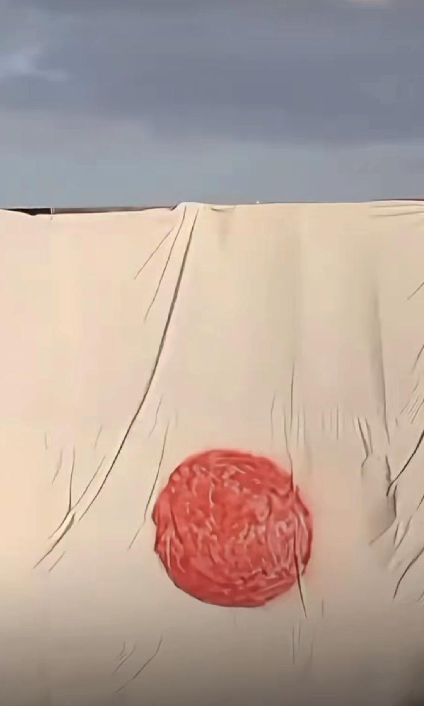 日本网友破防了！
怪我们把他们的国旗当靶子。
这不能怪我们啊！怪只怪你们日本自己