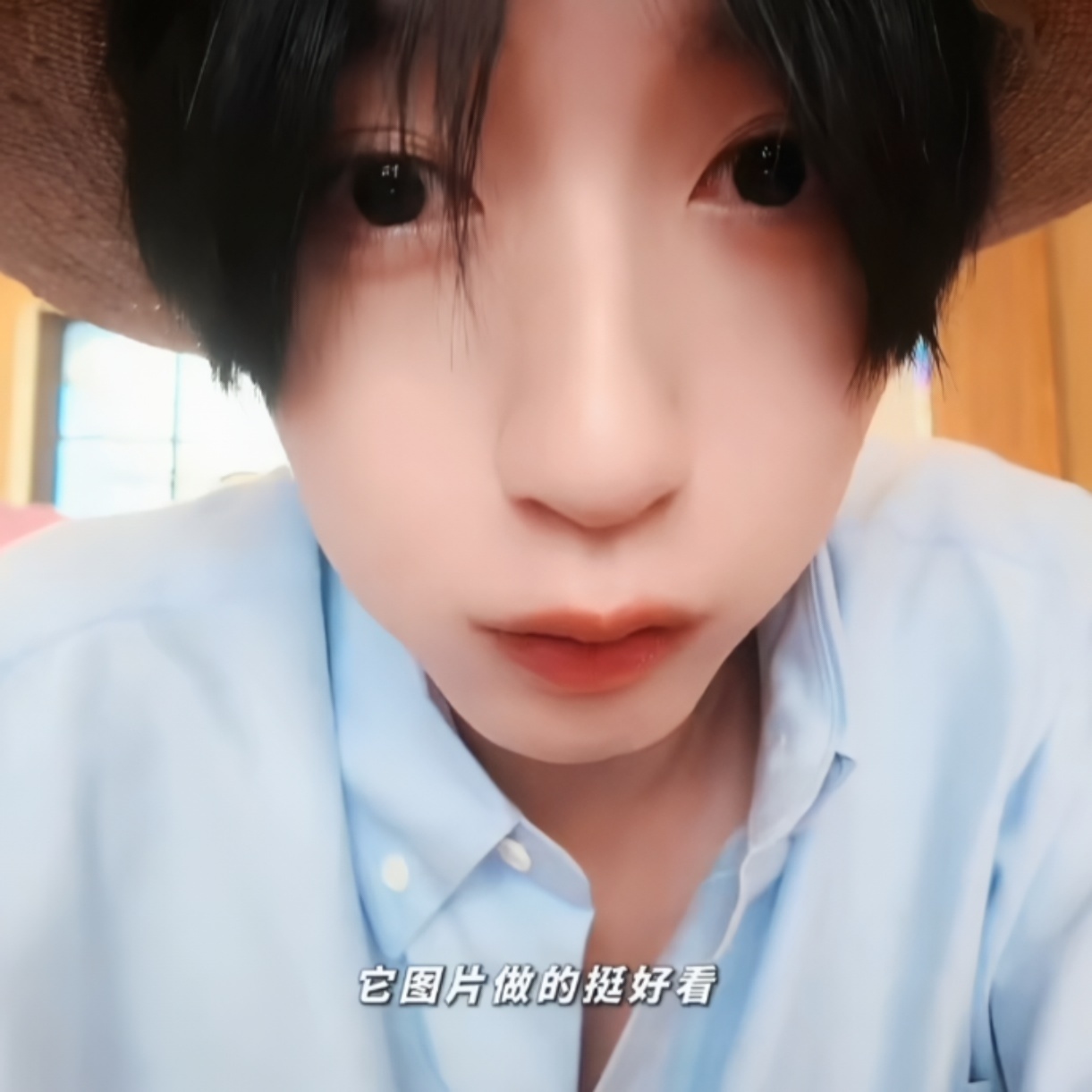 这是我亲生的仓鼠崽崽🐹 