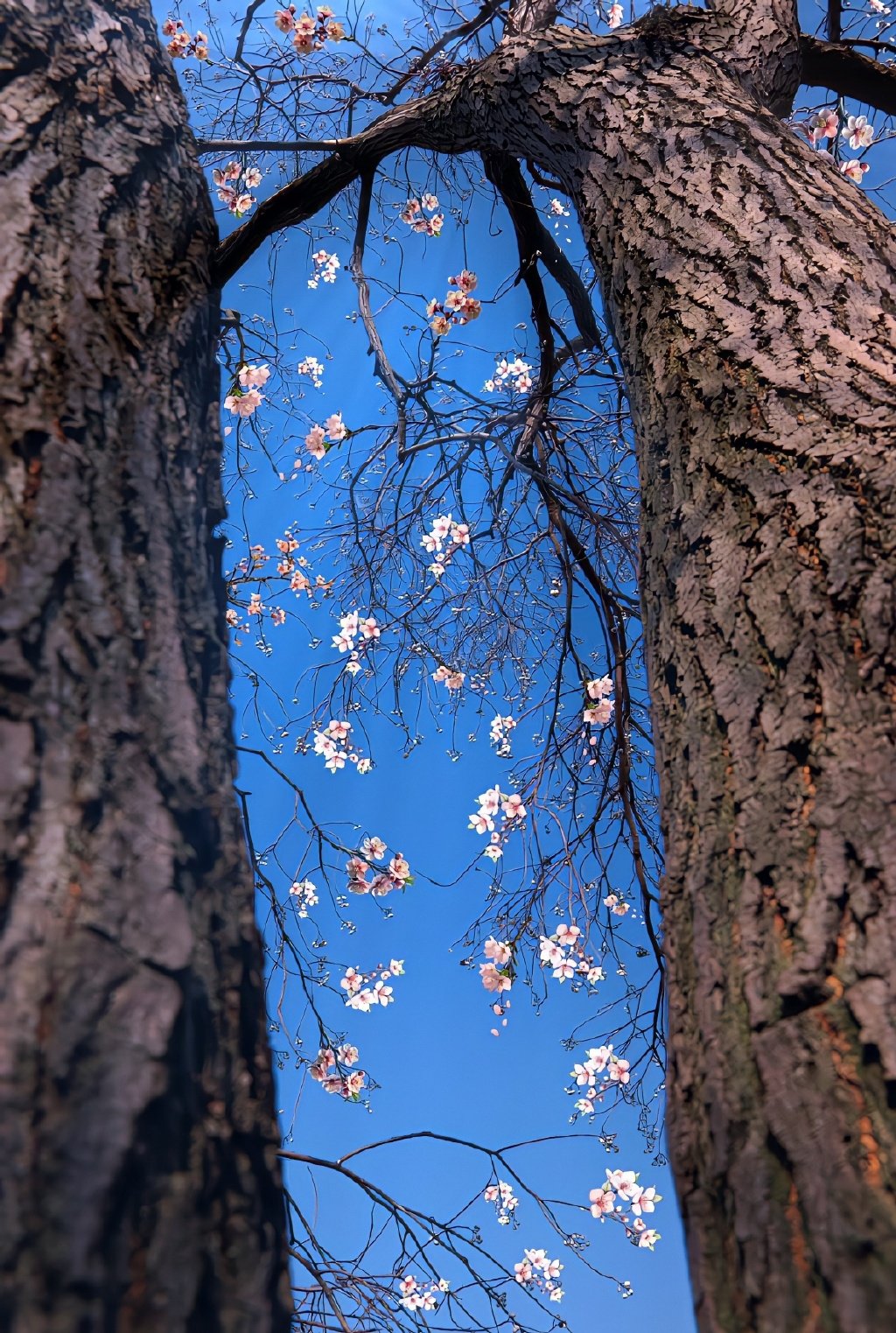 春 夏 秋 冬 ​​​