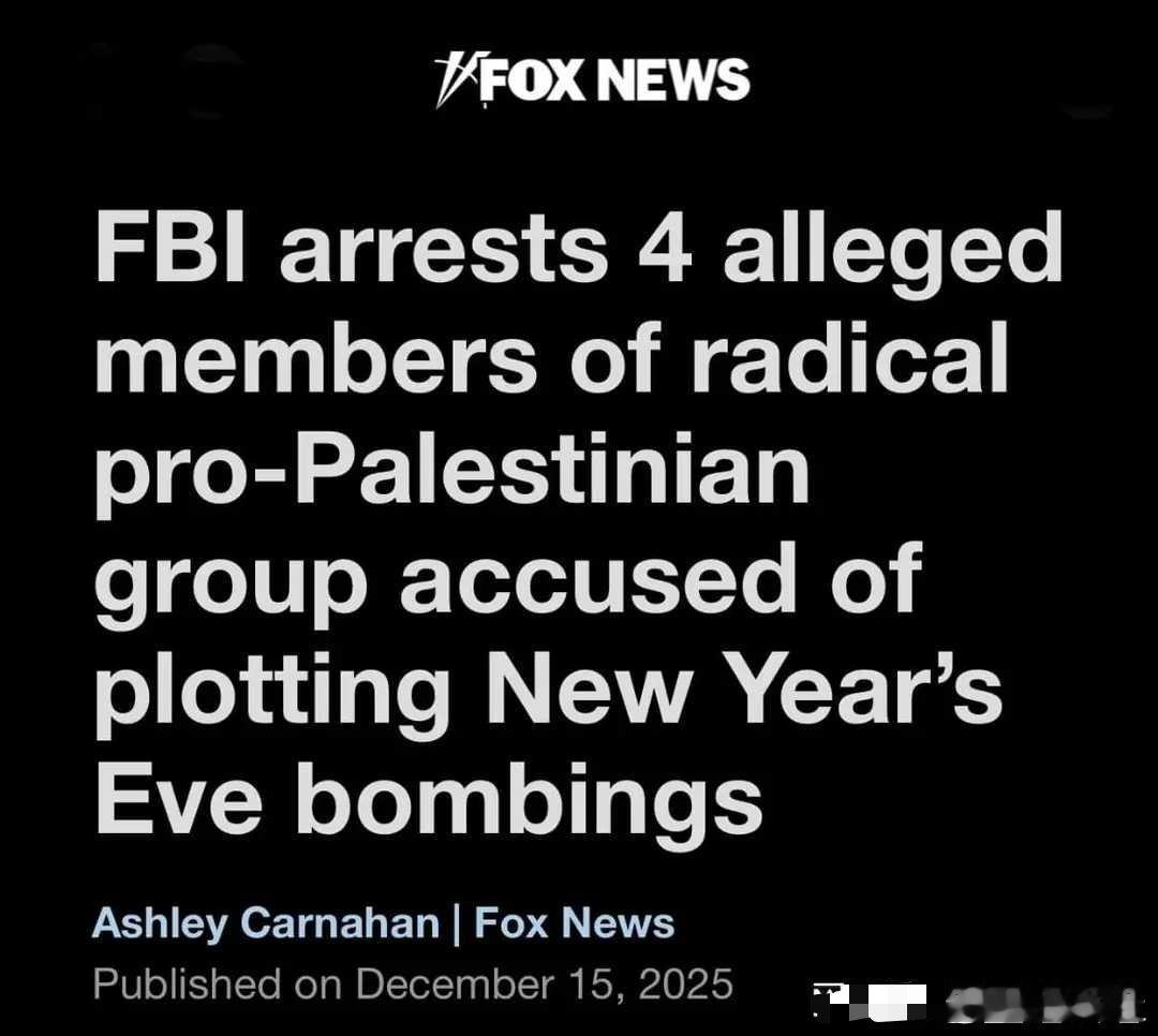 海外新鲜事 美国，FBI逮捕了四名试图在新年夜进行爆炸袭击的亲巴勒斯坦分子。 