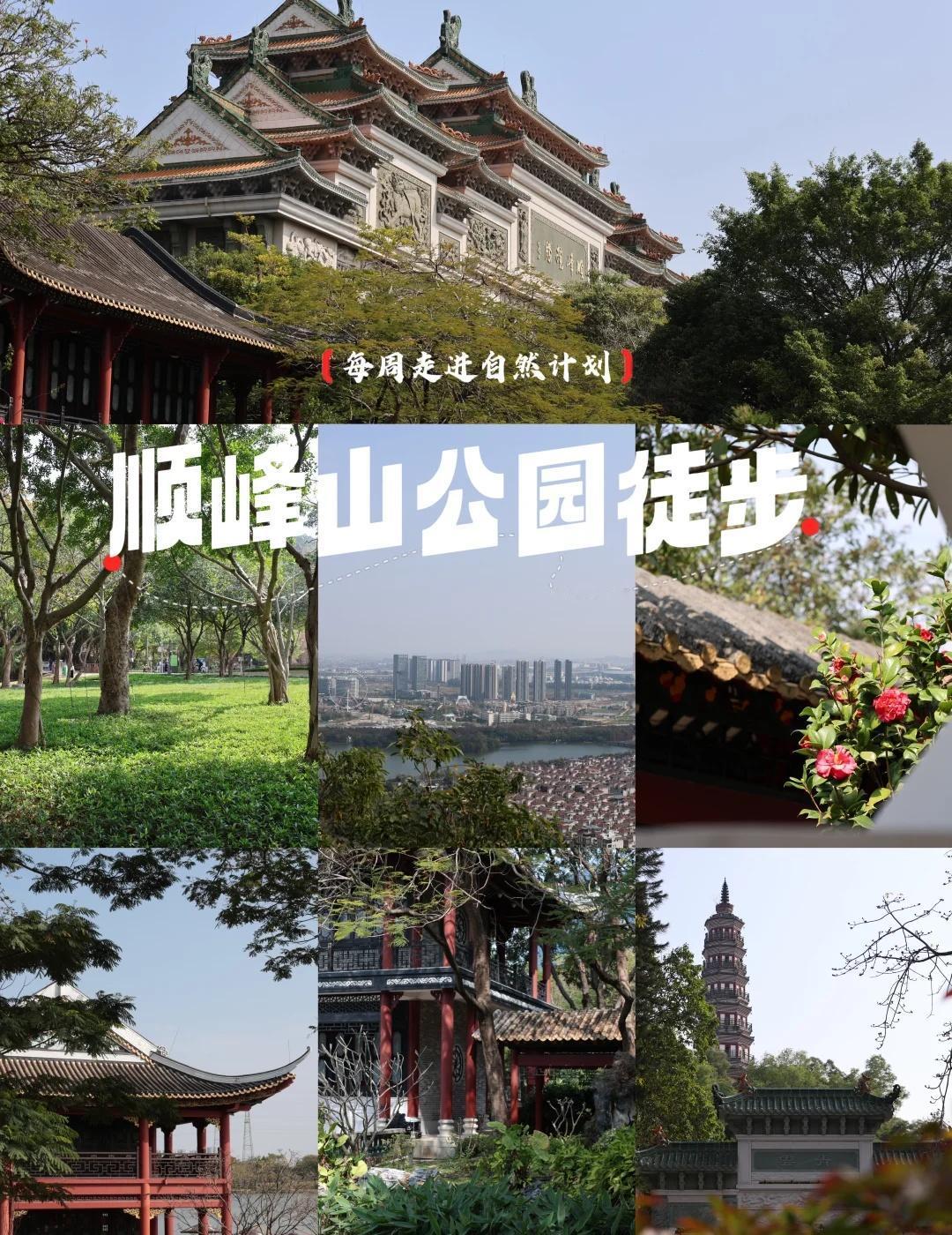 轻徒步 | 顺峰山花海+双塔拍照徒步攻略📸
📍地点：顺德顺峰山公园
🚇交通