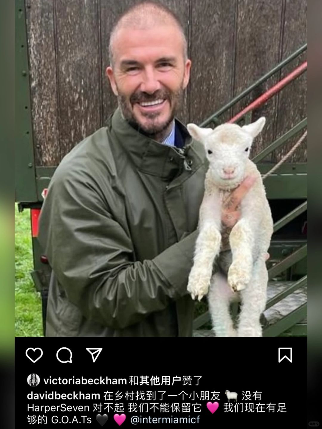 小贝发动态：看到小羊不能收留，我有goat了😂