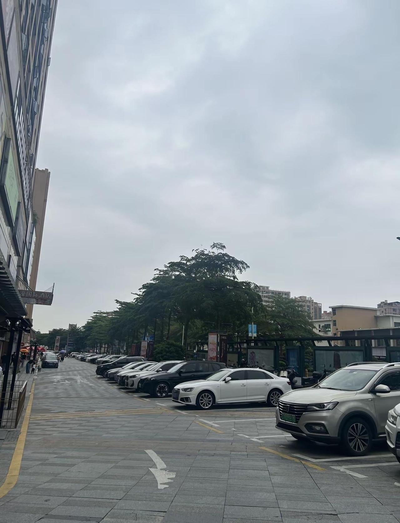 深圳天气好不好 你的好不好五月遇见夏天