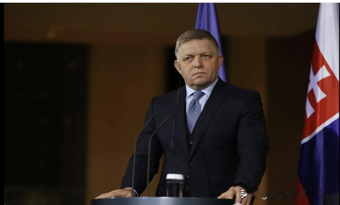 菲科这次说对一个事实！“世界秩序崩溃的又一证据”


斯洛伐克总理菲佐，对美国在