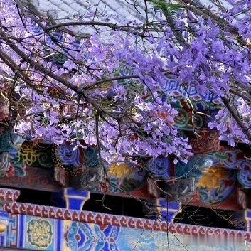 阳光信用‎阳光‎信用 ‎每日一善 斗志和干劲很重要，但更重要的，是不断坚持的努力