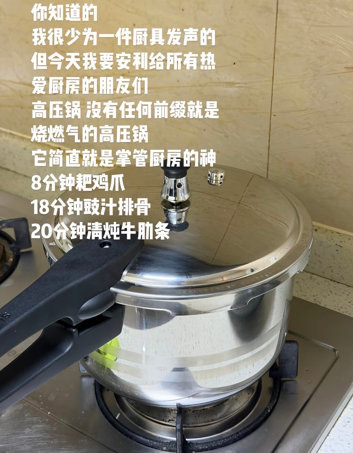 剧宣天才虞书欣发力了我没有高压锅驾驶证每一个年轻人对高压锅都平等地有着敬畏之心 