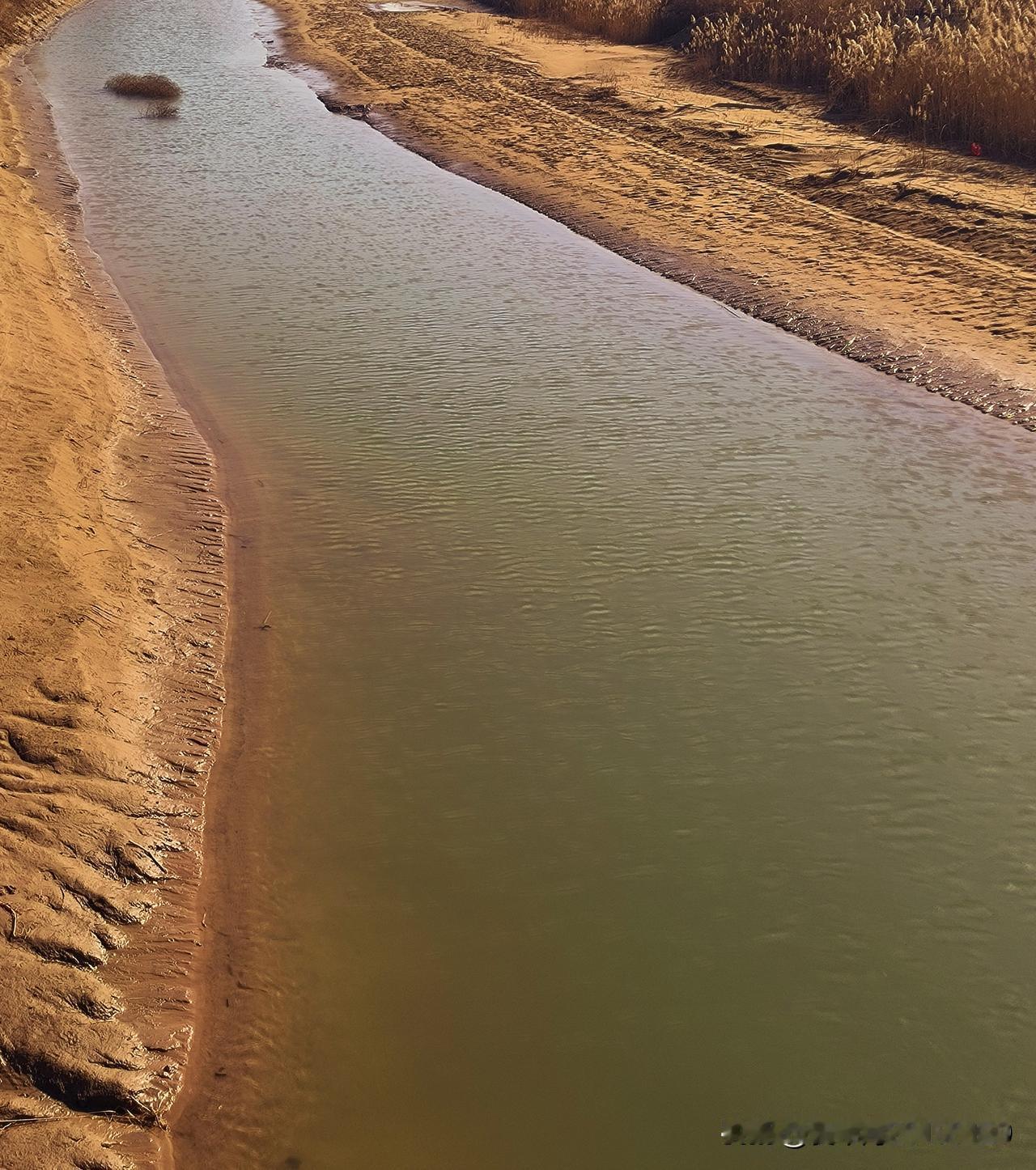 今天是三九第八天，外面艳阳高照，温暖如春。看了一下手机，气温竟然干到了17度。本