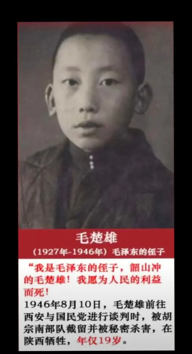 毛楚雄