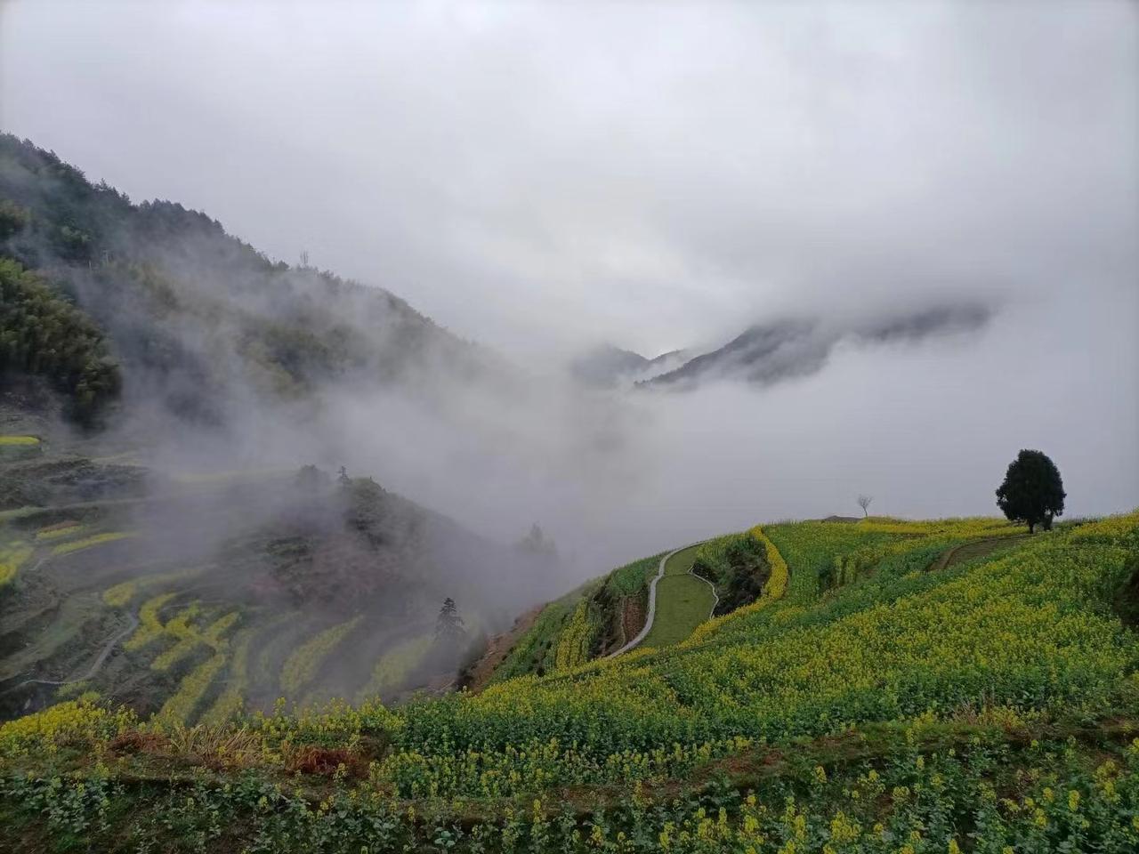在疫情之前，原来大学都是开门办的，到了疫情以后，现在大学有多少还是开门办的？很多