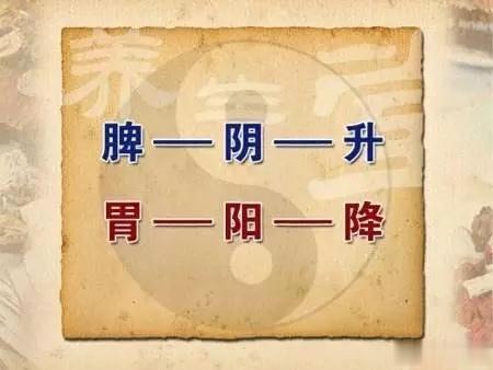 脾胃虚弱？你是脾虚还是胃虚（简单实用）一，脾虚了，没有胃口，大便稀溏。这个分两种