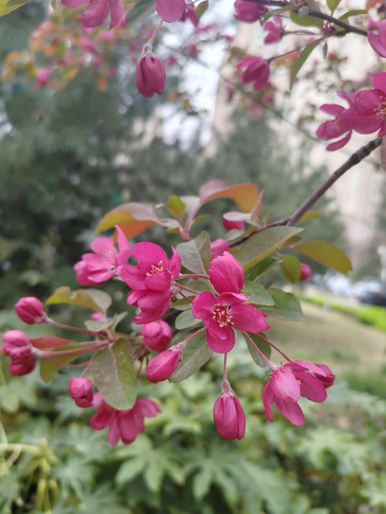《人民日报》说：人到了一定年纪，真正决定你生活质量的，其实是家庭，永远要记得，一