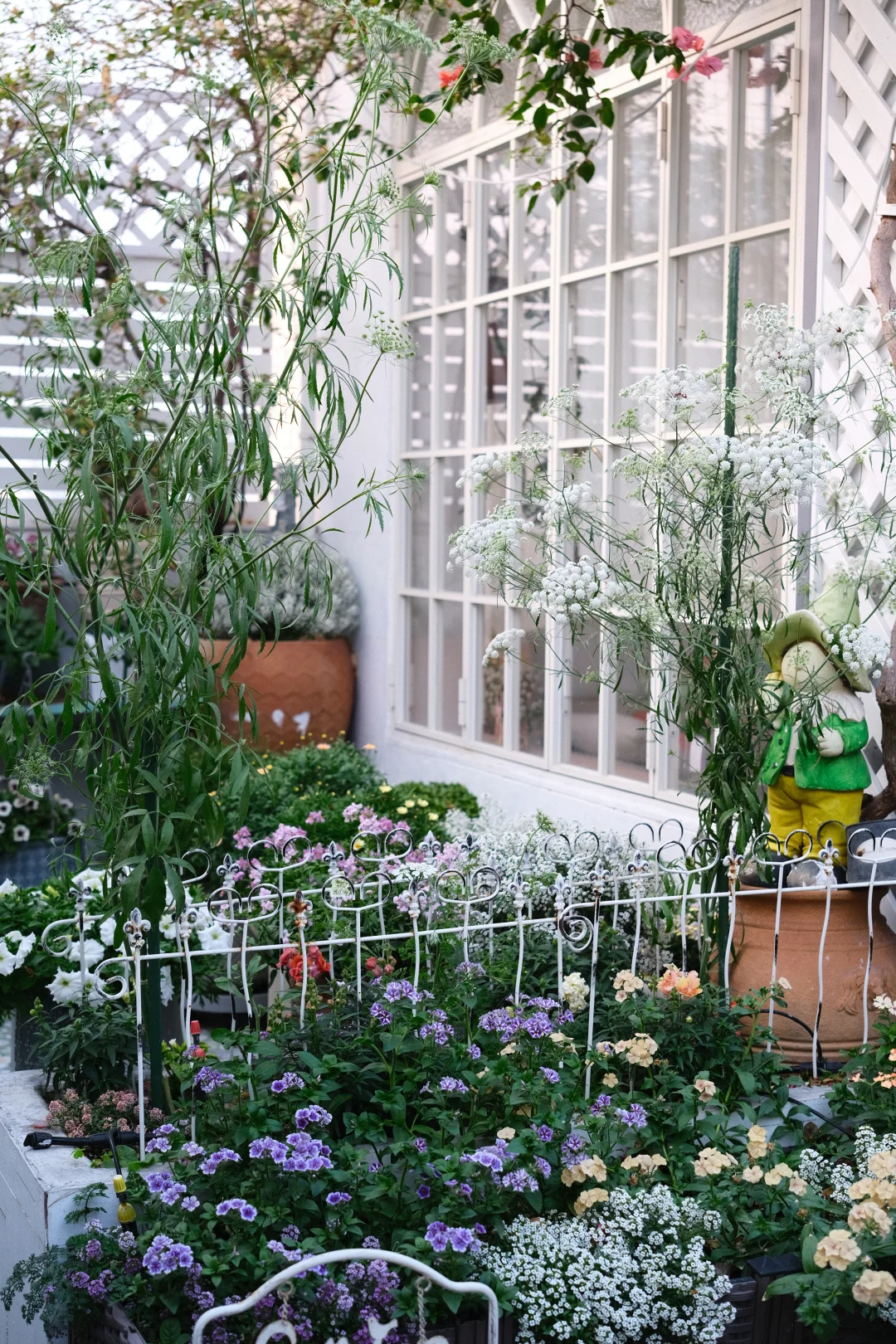 这是我广东冬天的花园～