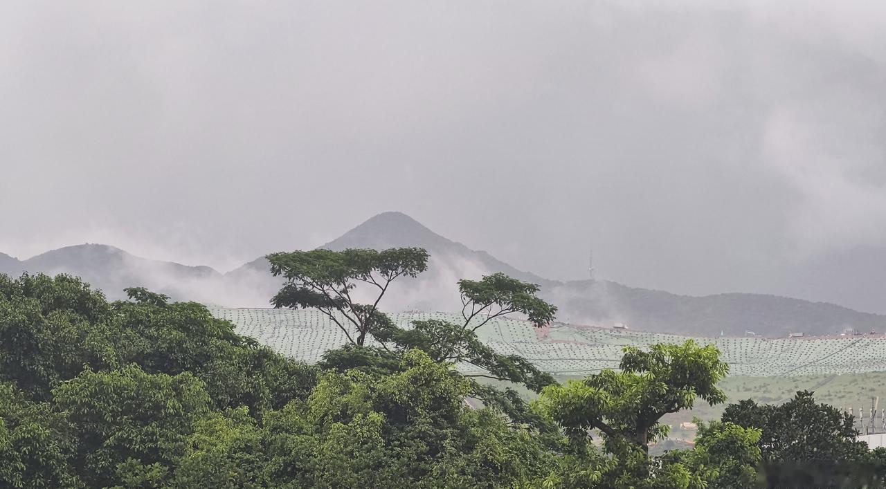 天越来越黑，暴雨又要来了… ​​​