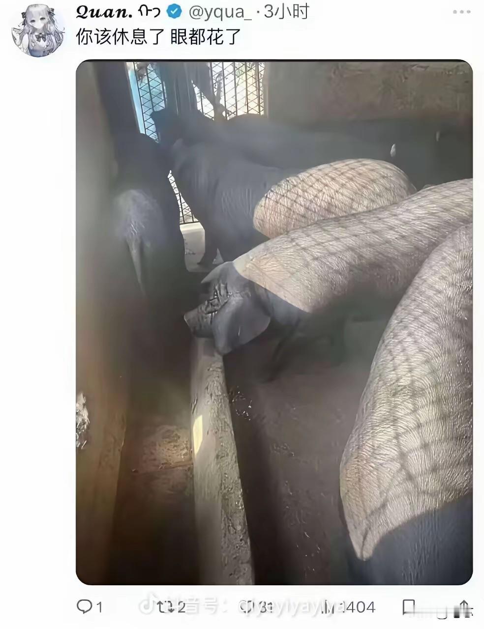 请告诉我你第一眼看到了什么，要诚实