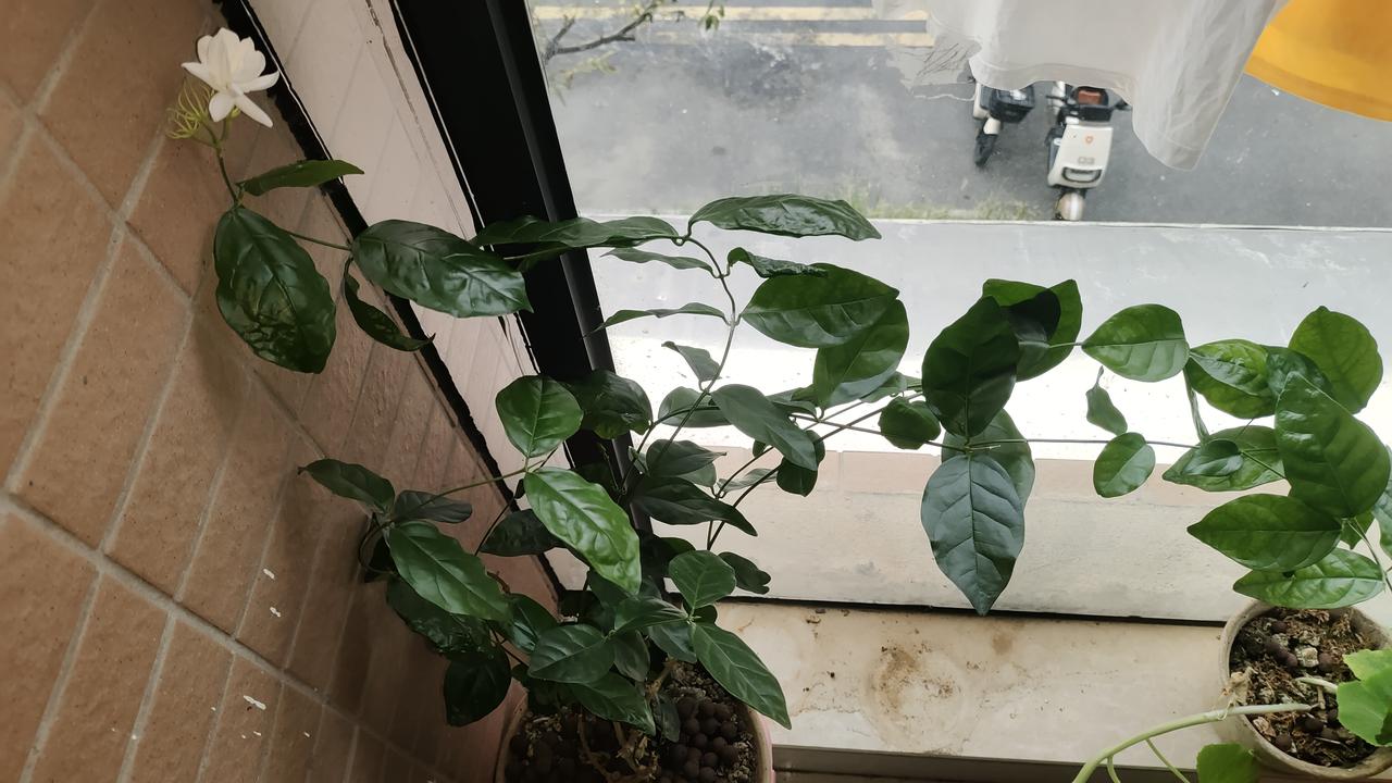 带定位晒今日生活天晴冷冻感