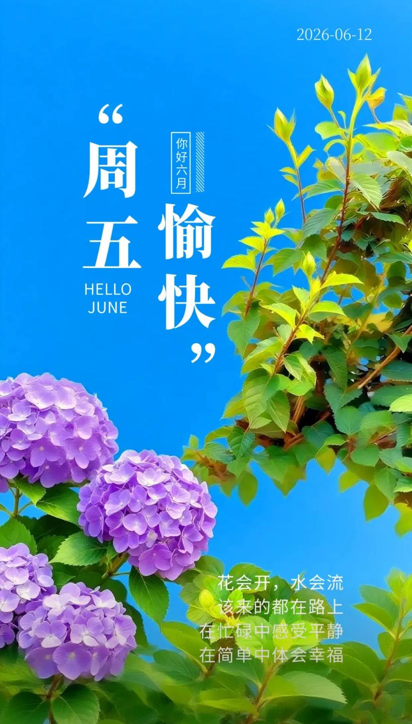 夏晨问安，荷风漫卷清香远，静心常留岁月安。
2026./06.12.
[微风][