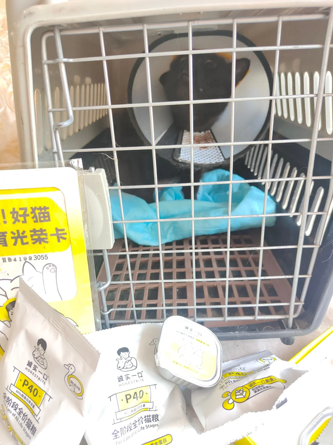 小小流二代终于被拿下！