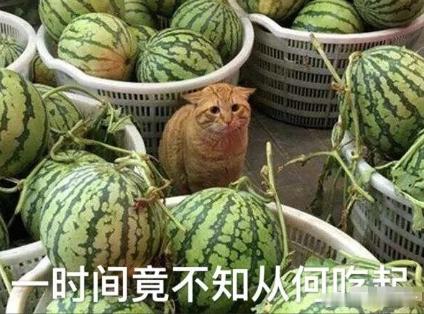 【小八卦】杨紫，白鹿，鞠婧祎，王楚然，唐艺昕，李思潼，宋祖儿，任敏，郭晓婷，吴倩