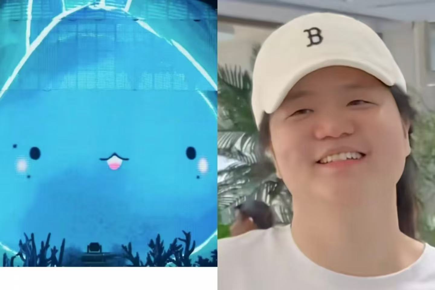 我靠谁做的图！好像啊 