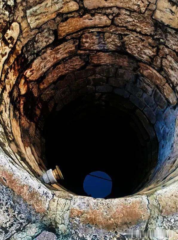 心若一汪古井
太过沉静，便失了生动
 
终日无波的水面
慢慢爬满青苔
把鲜活慢慢