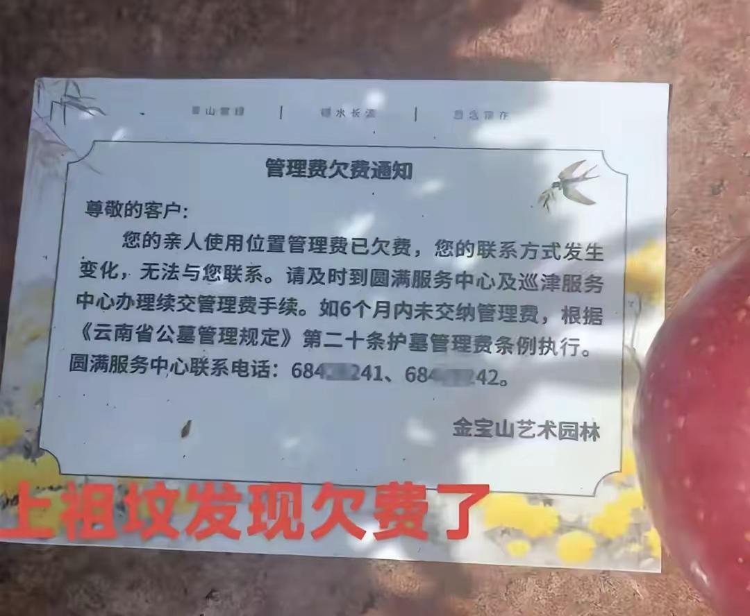 一张欠费通知，道尽了多少人的疏忽。网上刷到一张扫墓照片，看完心里挺不是滋味的。墓