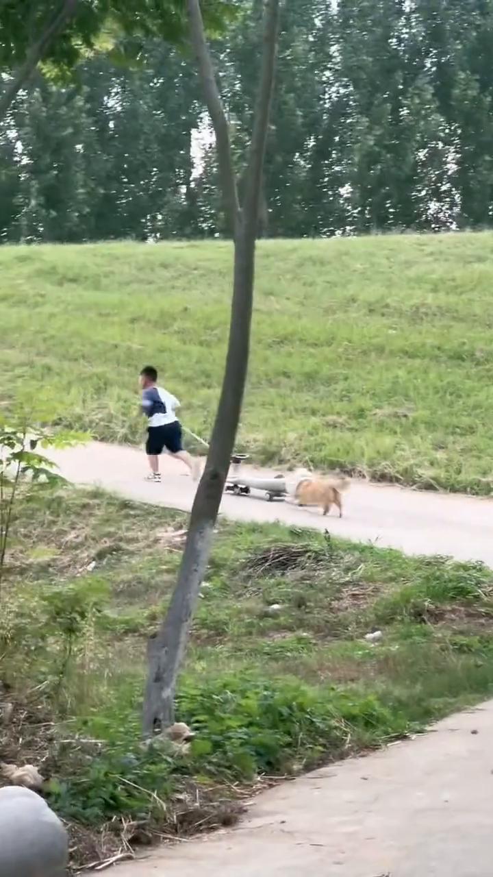 哎呀呀。