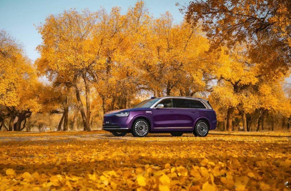 撒贝宁再提没去过赛里木湖白活了该说不说，问界M7和M9的实力真不用吹！这波屏幕上