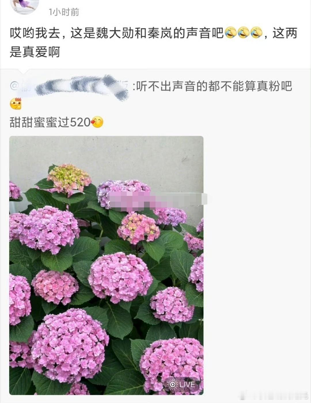 秦岚发了疑似有魏大勋声音的live图 网友发现秦岚ai图疑似有魏大勋声音，还说删