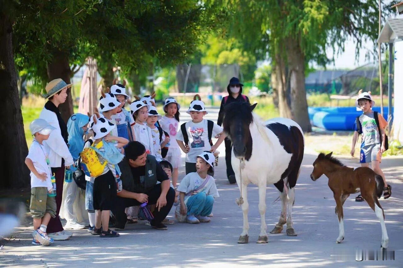 台州小伙太厉害！把老奶牛场改成网红研学基地，年接待2万人次

台州湾新区创业者梁