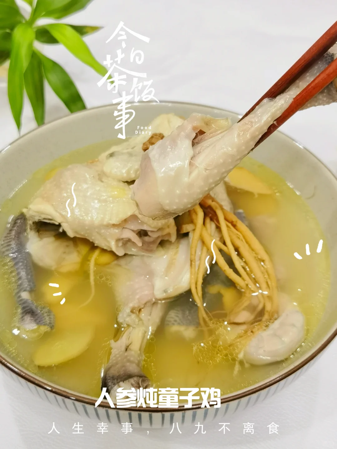 🔥三伏天里的滋补秘籍！人参炖童子鸡