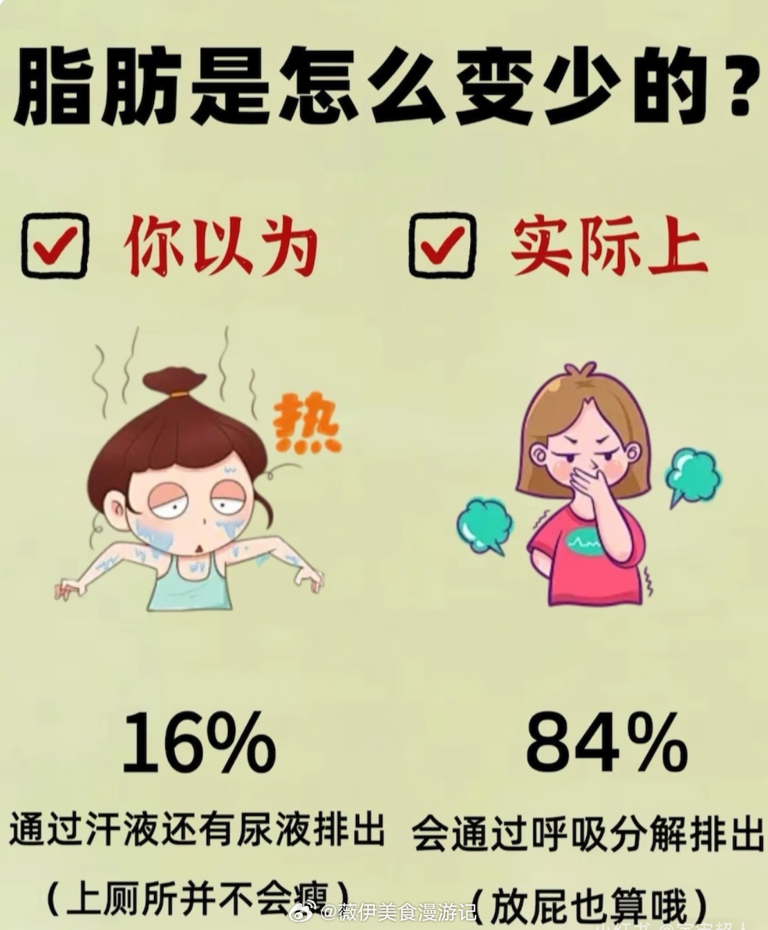 说一个减肥的冷知识 脂肪的主要排出方式是呼吸。我们以为脂肪是通过出汗或排便排出的